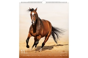 Falinaptár Horse 30x34cm REALSYSTEM 6087-HO képes, ikerspirálos