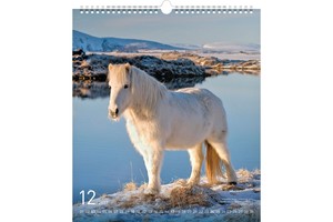 Falinaptár Horse 30x34cm REALSYSTEM 6087-HO képes, ikerspirálos