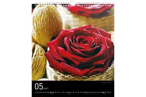 Falinaptár Sweet home 30x34cm REALSYSTEM 6087-SH képes, 14 lapos