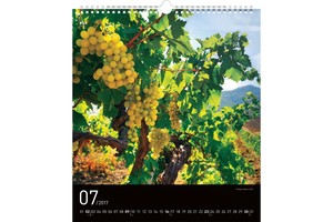 Falinaptár Wine 30x34cm REALSYSTEM 6087-WI képes, 14 lapos