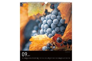 Falinaptár Wine 30x34cm REALSYSTEM 6087-WI képes, 14 lapos