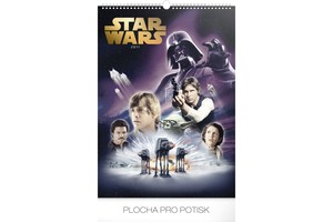 Falinaptár Star Wars Posters REALSYSTEM 6095-SW 48x46cm, 14 lapos