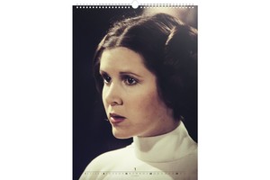 Falinaptár Star Wars Posters REALSYSTEM 6095-SW 48x46cm, 14 lapos