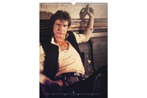 Falinaptár Star Wars Posters REALSYSTEM 6095-SW 48x46cm, 14 lapos