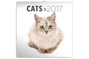 Falinaptár Cats 30x30/30x60cm REALSYSTEM 6097 képes, tűzött, 7 lapos