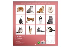 Falinaptár Cats 30x30/30x60cm REALSYSTEM 6097 képes, tűzött, 7 lapos