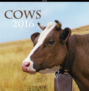 Falinaptár Cows 30x30/30x60cm REALSYSTEM 6097-CW képes