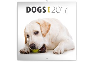 Falinaptár Dogs 30x30/30x60cm REALSYSTEM 6097 képes, tűzött, 7 lapos