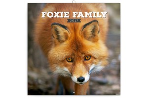 Falinaptár Foxie Family 30x30cm, REALSYSTEM 6097 képes, tűzött,