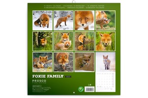 Falinaptár Foxie Family 30x30cm, REALSYSTEM 6097 képes, tűzött,