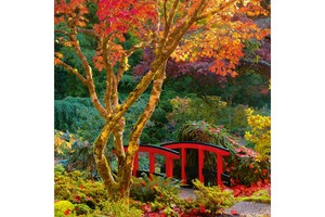 Falinaptár Gardens 30x30cm REALSYSTEM 6097 képes, tűzött, 7 lapos