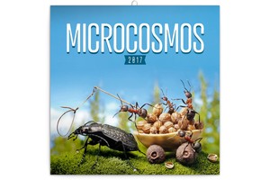 Falinaptár Microcosmos 30x30cm REALSYSTEM 6097 képes, tűzött, 7 lapos