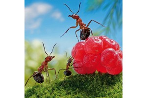 Falinaptár Microcosmos 30x30cm REALSYSTEM 6097 képes, tűzött, 7 lapos