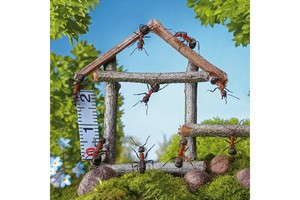 Falinaptár Microcosmos 30x30cm REALSYSTEM 6097 képes, tűzött, 7 lapos