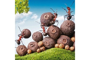 Falinaptár Microcosmos 30x30cm REALSYSTEM 6097 képes, tűzött, 7 lapos
