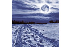 Falinaptár Moon 30x30/30x60cm REALSYSTEM 6097 képes, tűzött, 7 lapos