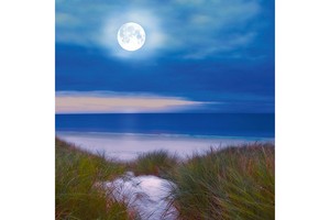 Falinaptár Moon 30x30/30x60cm REALSYSTEM 6097 képes, tűzött, 7 lapos