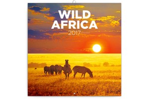 Falinaptár Wild Africa 30x30cm REALSYSTEM 6097-WA képes, tűzött