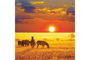 Falinaptár Wild Africa 30x30cm REALSYSTEM 6097-WA képes, tűzött