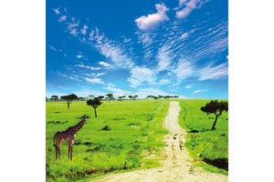 Falinaptár Wild Africa 30x30cm REALSYSTEM 6097-WA képes, tűzött