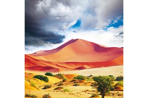 Falinaptár Wild Africa 30x30cm REALSYSTEM 6097-WA képes, tűzött