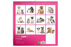 Falinaptár Young Love-Kittens & Puppies 30x30cm REALSYSTEM 6097-YL