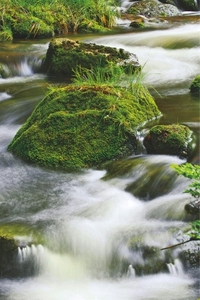 Falinaptár 30x34cm Aqua REALSYSTEM 6087 álló 8 lap