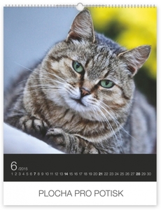 Falinaptár 30x34cm Cats REALSYSTEM 6087 álló 8 lap