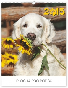 Falinaptár 30x34cm Dogs REALSYSTEM 6087 álló 8 lap