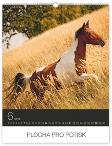 Falinaptár 30x34cm Horses REALSYSTEM 6087 álló 8 lap
