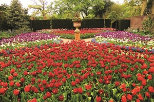 Falinaptár 30x30cm Gardens REALSYSTEM 6097 képes