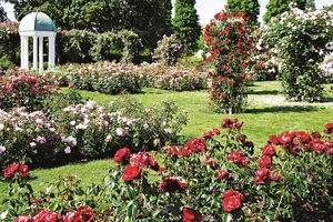 Falinaptár 30x30cm Gardens REALSYSTEM 6097 képes