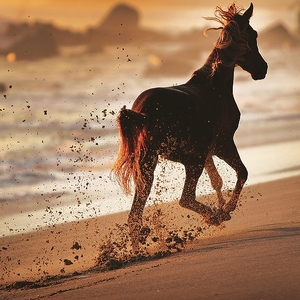 Falinaptár 30x30cm Horses & t. REALSYSTEM 6097 Horses & the Sea