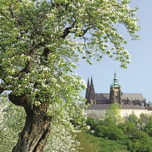 Falinaptár 30x30cm Prague REALSYSTEM 6097