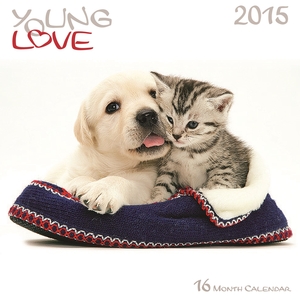 Falinaptár 30x30cm Young Love REALSYSTEM 6097 Kittens & Puppies