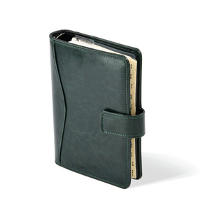 Kalendárium SATURNUS L231, chamois lap, zöld műbőr