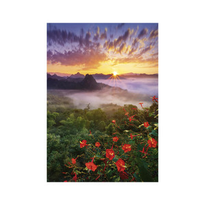 Falinaptár TOPTIMER T092, Nature Emotions, 315x450 mm, álló
