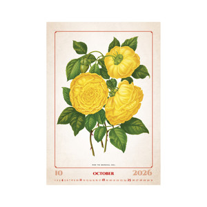 Falinaptár TOPTIMER T092, Herbarium, 315 x 450 mm, álló