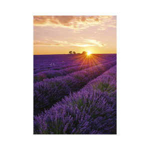 Falinaptár TOPTIMER T092, Provence, 315 x 450 mm, álló