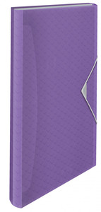 Harmonika mappa A4, ESSELTE Colour'Breeze, PP, 6 rekeszes, levendula