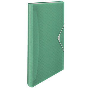 Harmonika mappa A4, ESSELTE Colour'Breeze, PP, 6 rekeszes, zöld