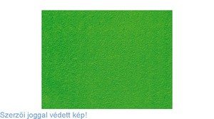 Dekorgumi lap A4, 2mm, GRS, mintás, bolyhos, világoszöld