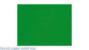 Dekorgumi lap A4, 2mm, GRS, mintás, bolyhos, zöld