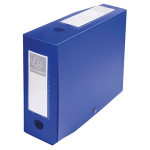 F&uuml;zetbox A4, 100 mm, EXACOMPTA Opaque, PP, patentos, k&eacute;k,