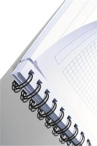 Spirálfüzet A4, 80 lap, LEITZ Executive Active, PP, 4 lyukú, kockás