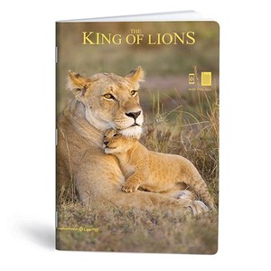 Füzet A4, 40 lap, LIPAMILL King of lions, vonalas