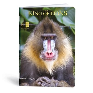 Füzet A4, 40 lap, LIPAMILL King of lions, vonalas