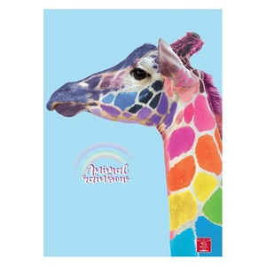 Füzet A4, 38 lap, PIGNA Animal Rainbow, tűzött, kockás