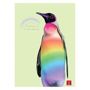 Füzet A4, 38 lap, PIGNA Animal Rainbow, tűzött, kockás