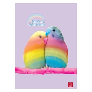 Füzet A4, 38 lap, PIGNA Animal Rainbow, tűzött, kockás